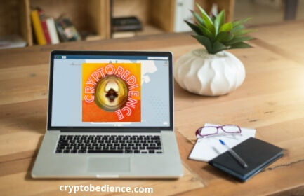 privacy cryptobedience
